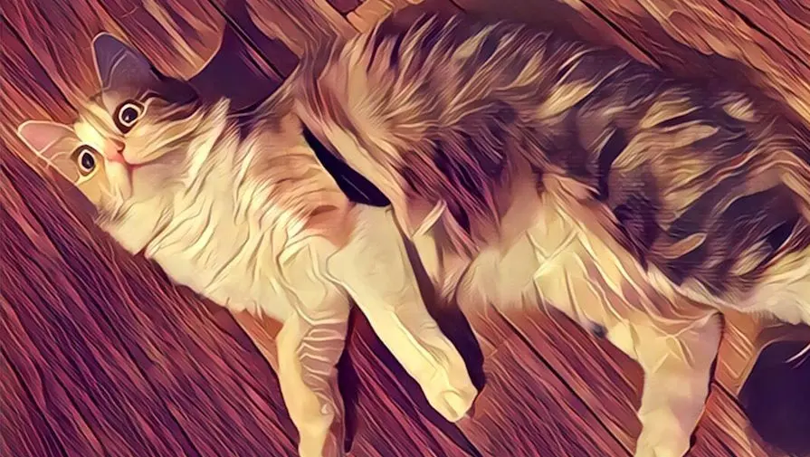 Prisma O‘zbekistonda App Store’dan eng ko‘p yuklab olinayotgan dasturga aylandi