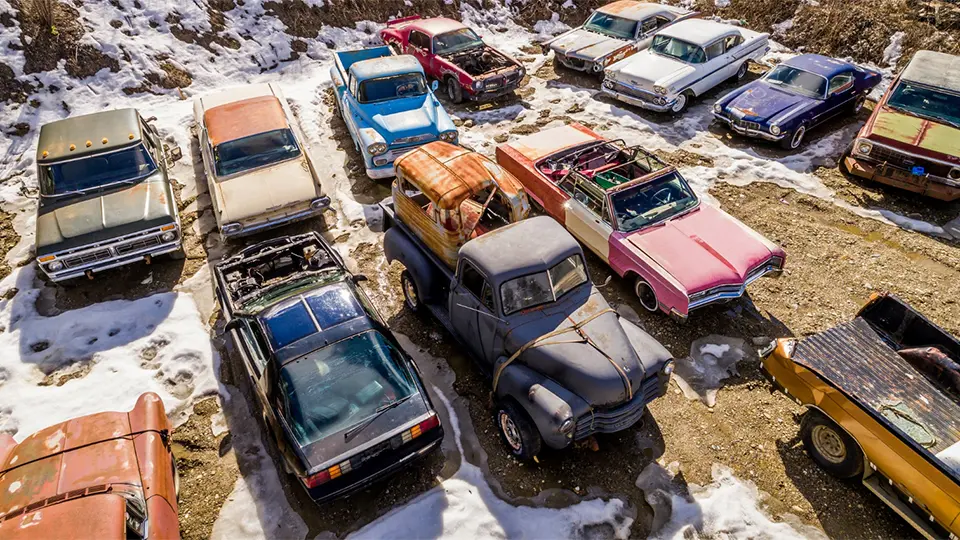 Kanadada ikki gektarga teng mashinalar “qabristoni” sotuvga qo‘yildi (foto)