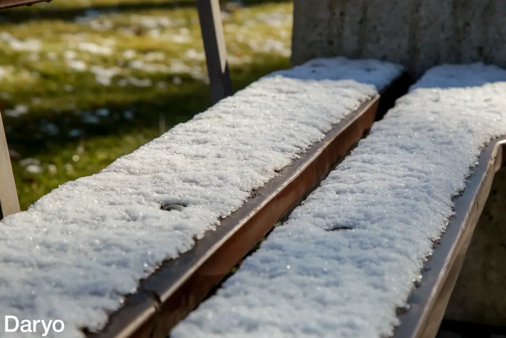 O‘zbekistonda hafta o‘rtasida qor yog‘ishi mumkinligi ma’lum qilindi