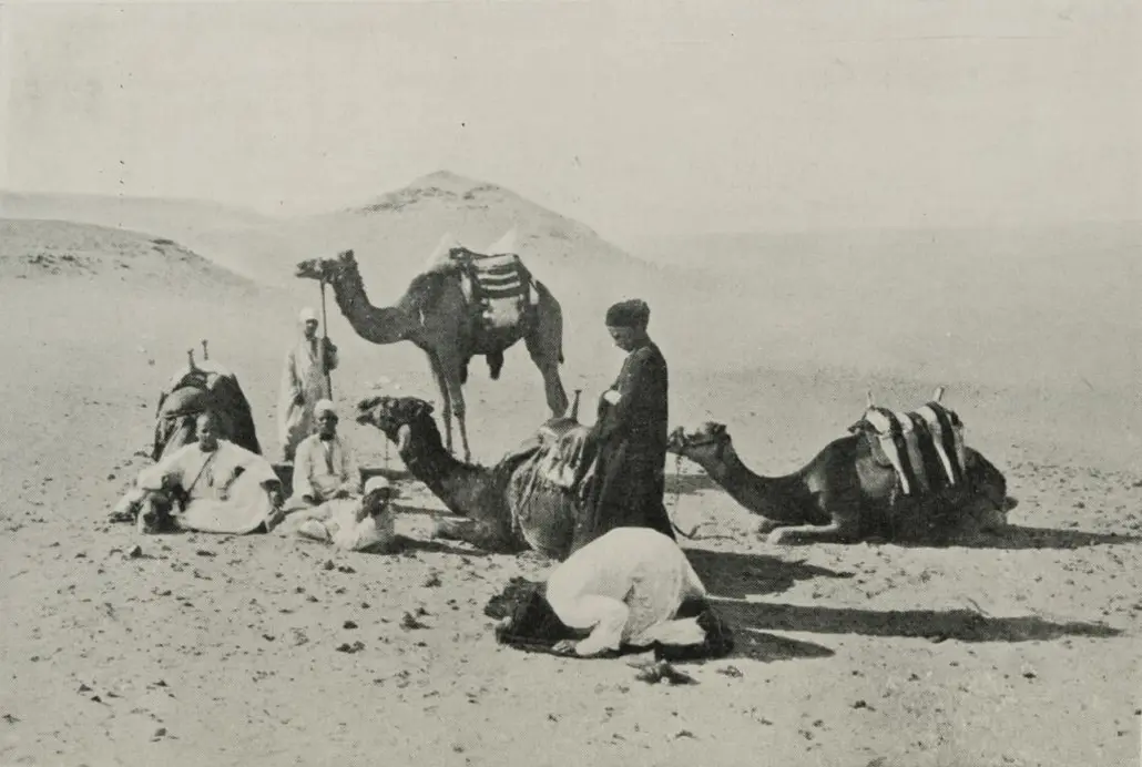 Arab madaniyatini tushunishga yordam beruvchi o‘n bir so‘z
