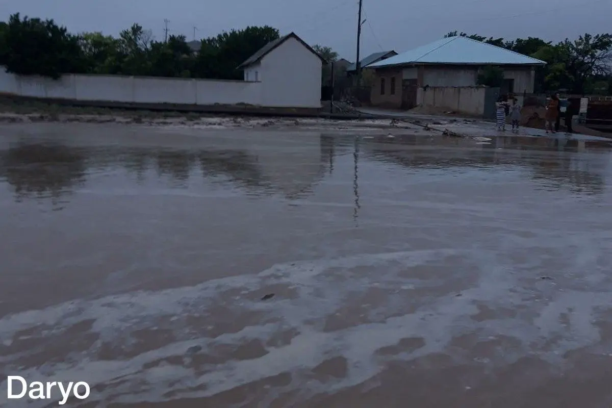 Video: Zarafshondagi sel va uning oqibatlari