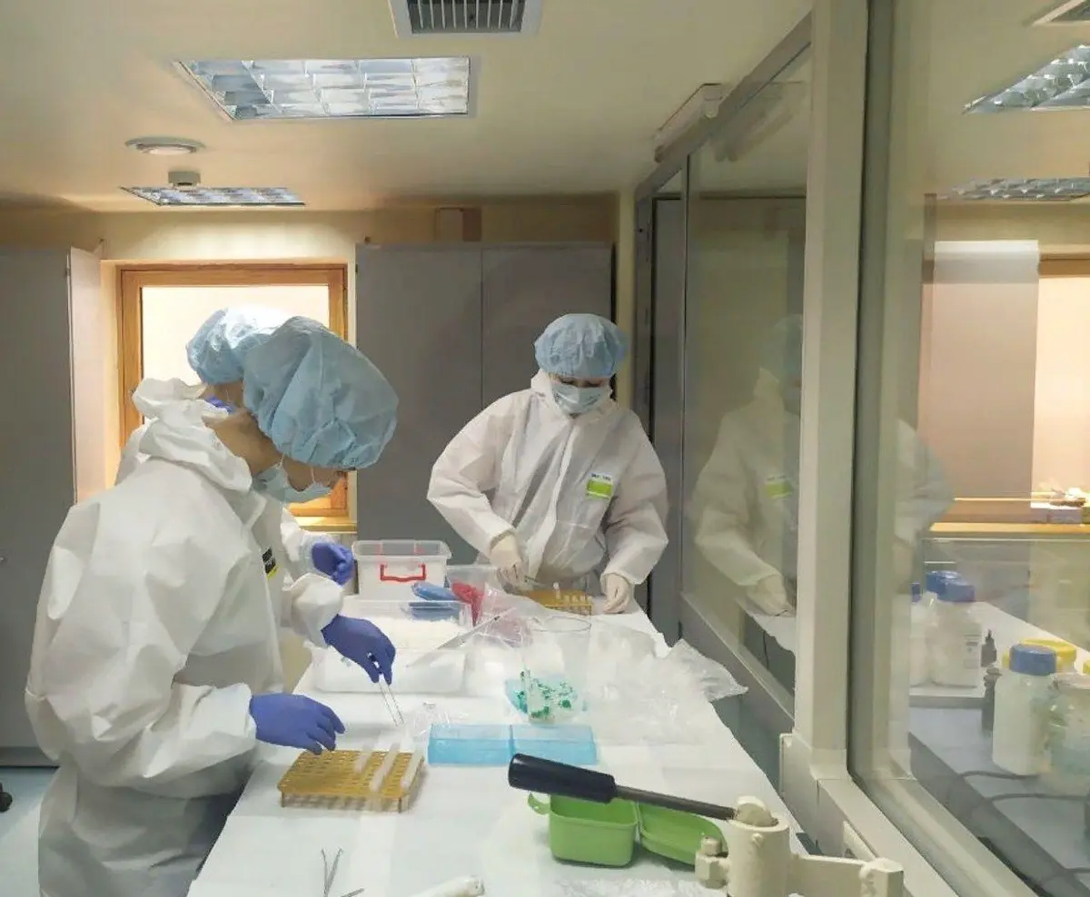 O‘zbekistonda COVID-19 kasalligini aniqlovchi test ishlab chiqarish yo‘lga qo‘yildi
