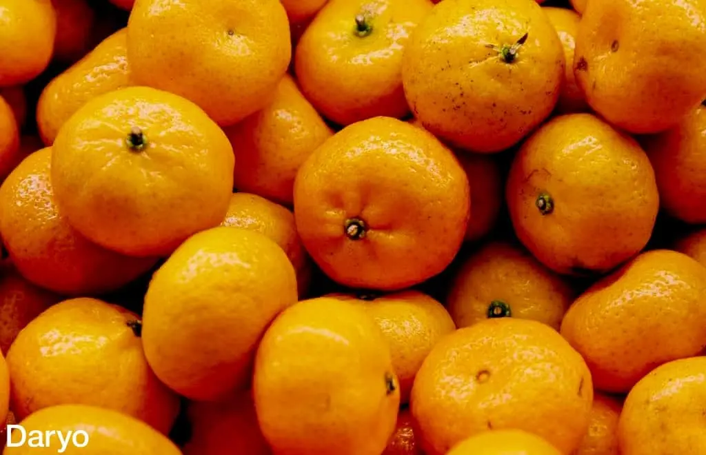 O‘zbekistonga 10 oyda necha tonna mandarin import qilingani ma’lum bo‘ldi