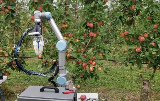 Avstraliyada olma terishga qodir robot yaratildi (video)