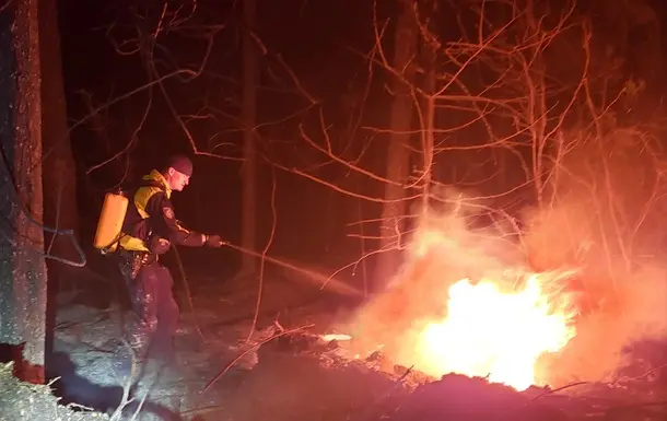 Kanadada o‘rmon yong‘ini sodir bo‘lmoqda (video)