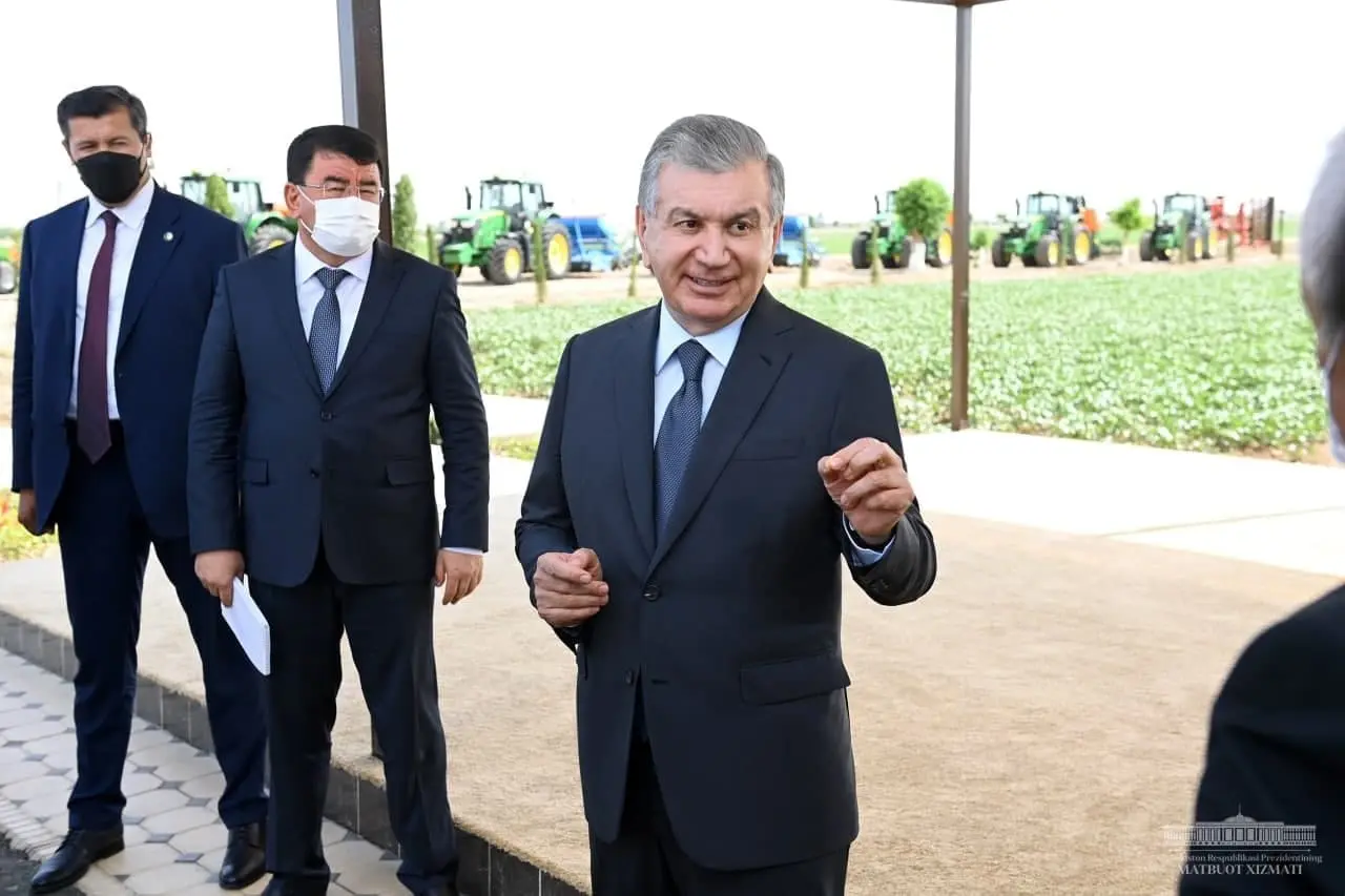 Shavkat Mirziyoyev “Angor Surxon g‘ururi” klasterida g‘alla hosilini ko‘zdan kechirdi