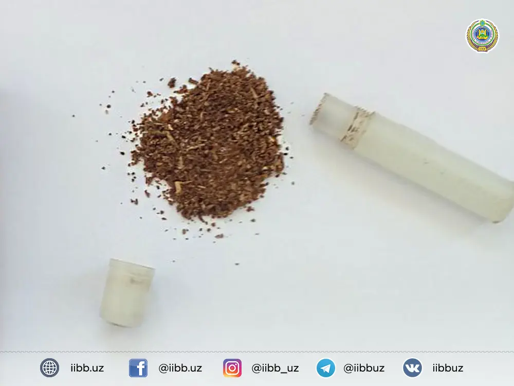 Toshkentda sigareta qutisida giyohvand modda olib yurgan shaxs qo‘lga olindi