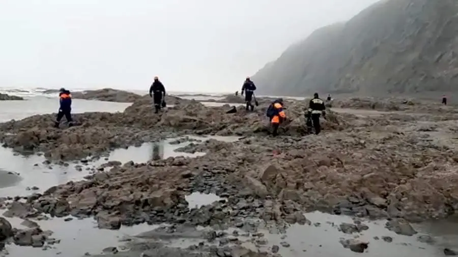 Kamchatkada halokatga uchragan samolyot bortidagi barchaning jasadi topildi