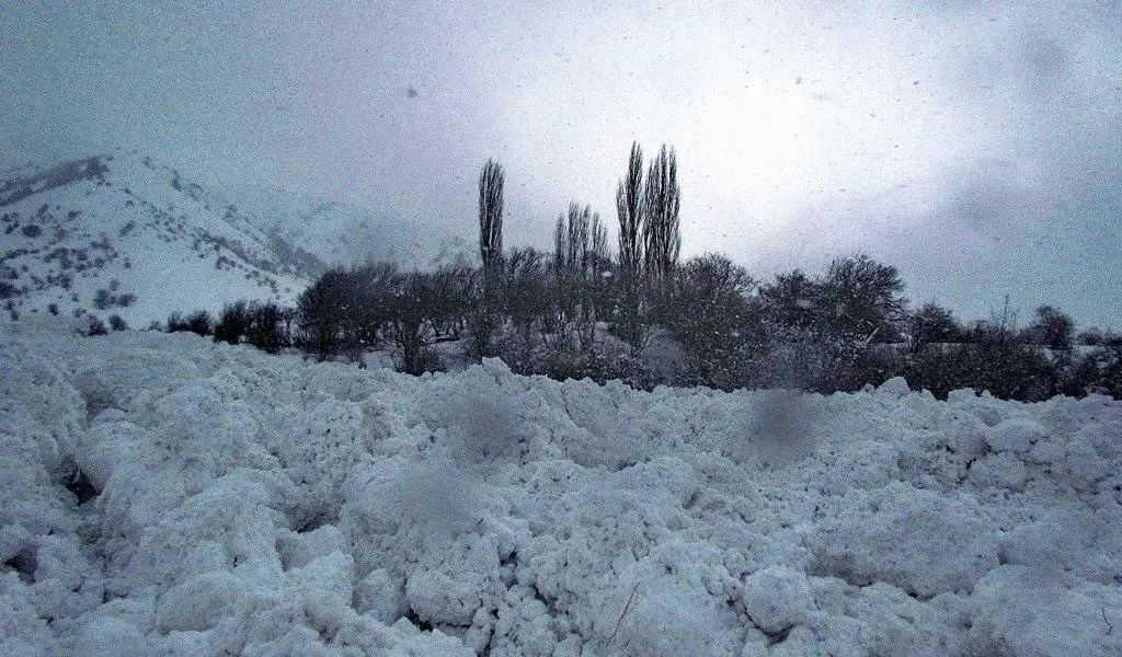 Foto: Amirsoy dam olish maskanida yuz bergan qor ko‘chkisi