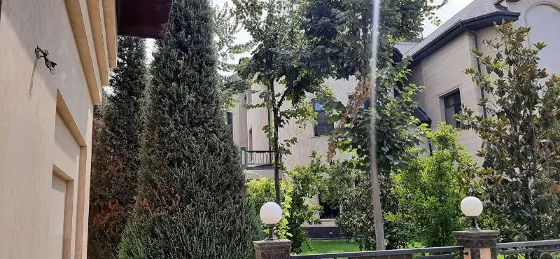 Toshkentda 51 xonali hovlining auksioni bo‘lib o‘tadi