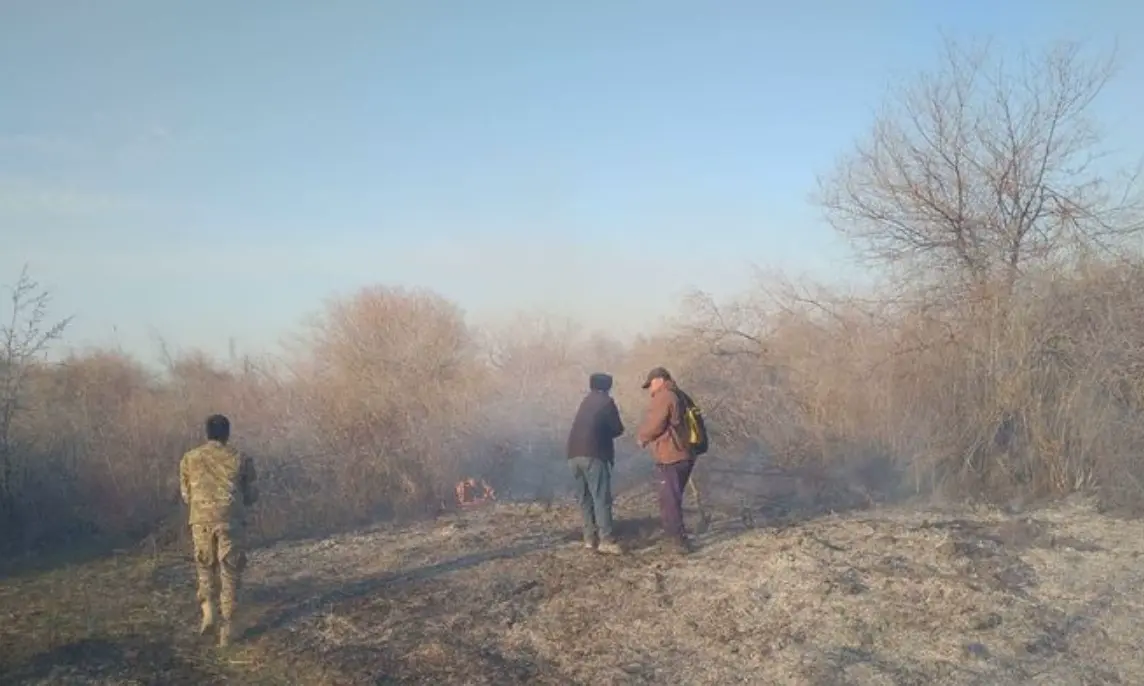 Zarafshon milliy bog‘ida yong‘in sodir bo‘ldi (foto)