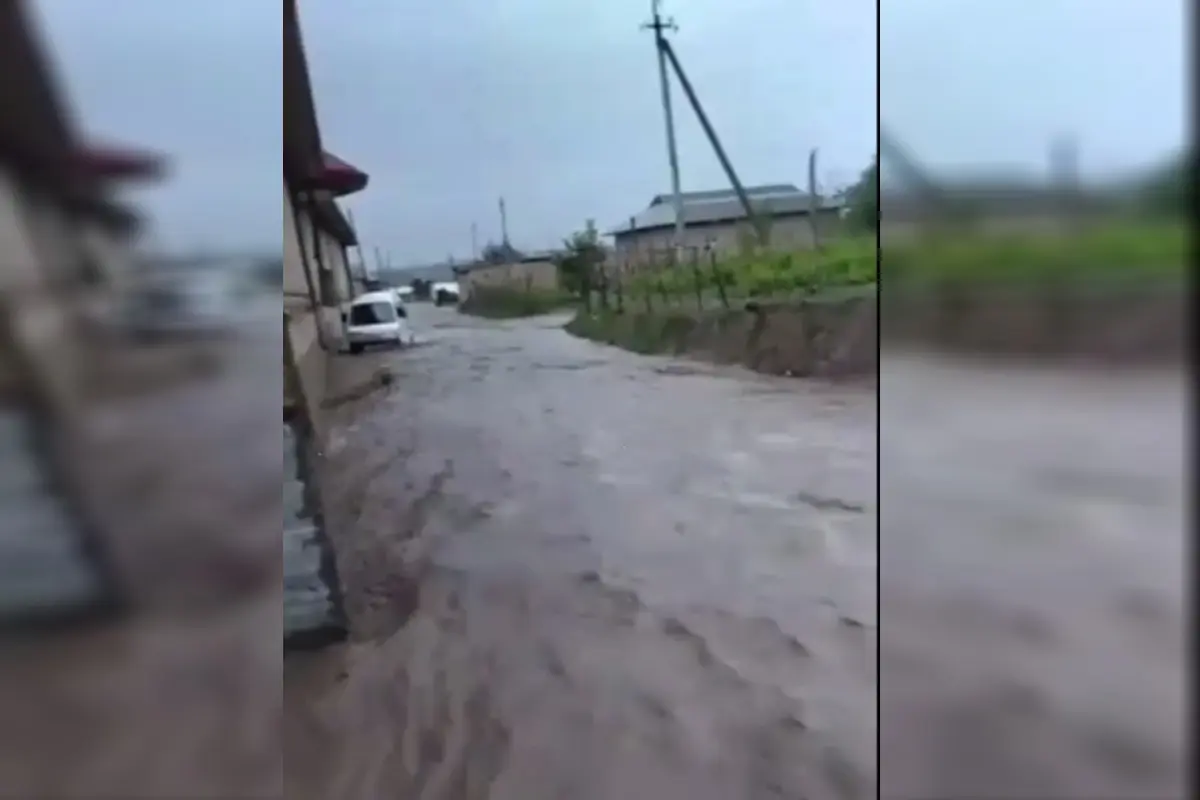 Видео: Иштихон туманида кузатилган сел