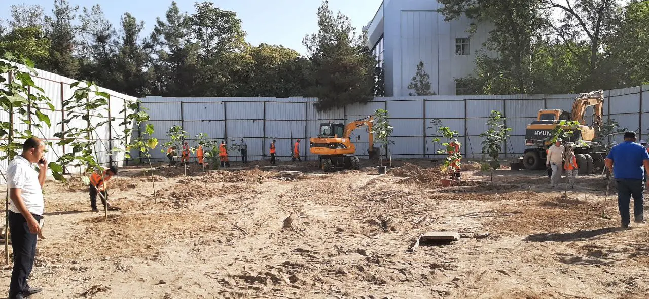 Dream House Stroy exterminates 58 perennial trees in Tashkent 