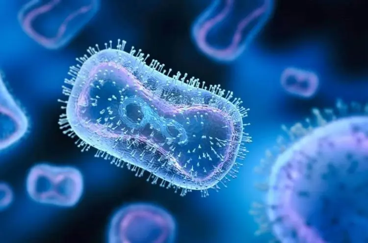 Monkeypox may cause neurological damage, including inflammation of the brain – new study