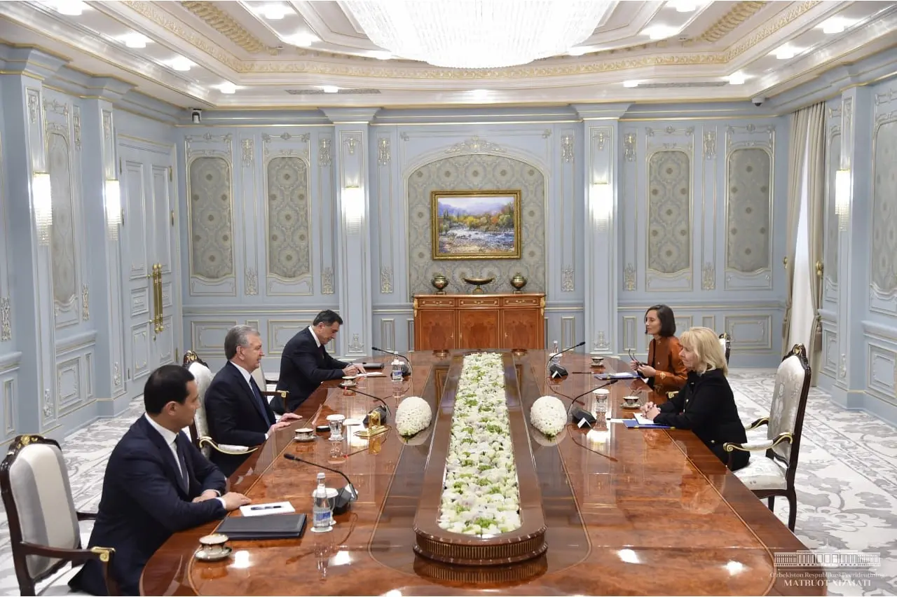 Shavkat Mirziyoyev meets special representative of EU for CA