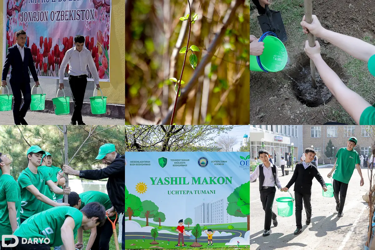 Foto: “Yashil makon” doirasida Toshkentning Uchtepa tumanidagi maktabda daraxt ekish aksiyasi o‘tkazildi