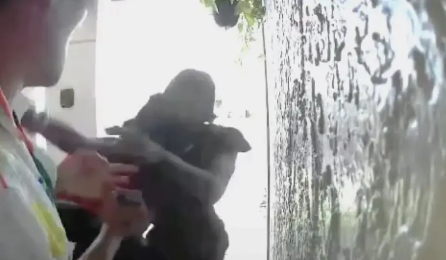 “No one has seen this here”: Kazakh guy gives a tough rebuff to armed bandits in U.S.