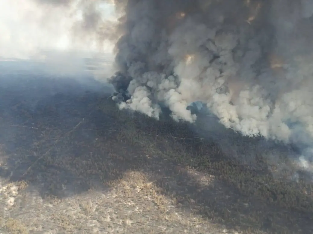 Forest fire devastates Abay region of Kazakhstan, setting record as world's largest fire by area