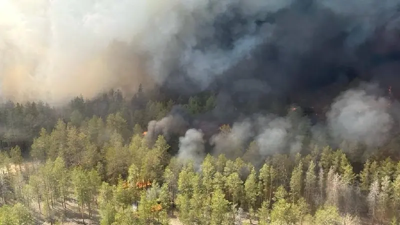 Forest fire in Kazakhstan claims lives of 14 citizens