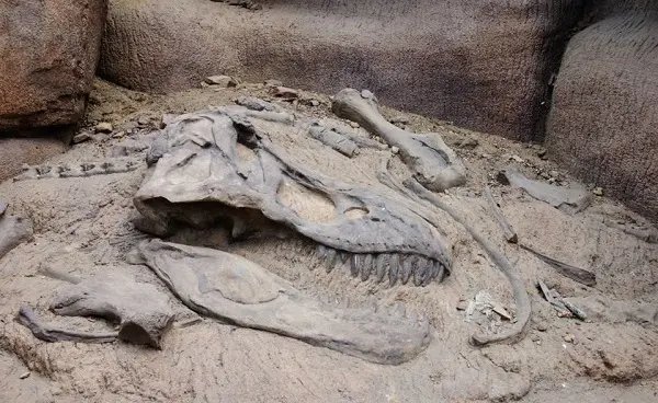 Experts suggest creating dinosaur-themed parks and museums in Uzbekistan