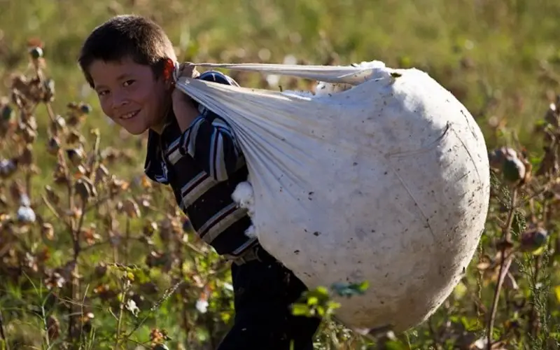 Uzbekistan earns global acclaim for remarkable progress in eradicating child labor