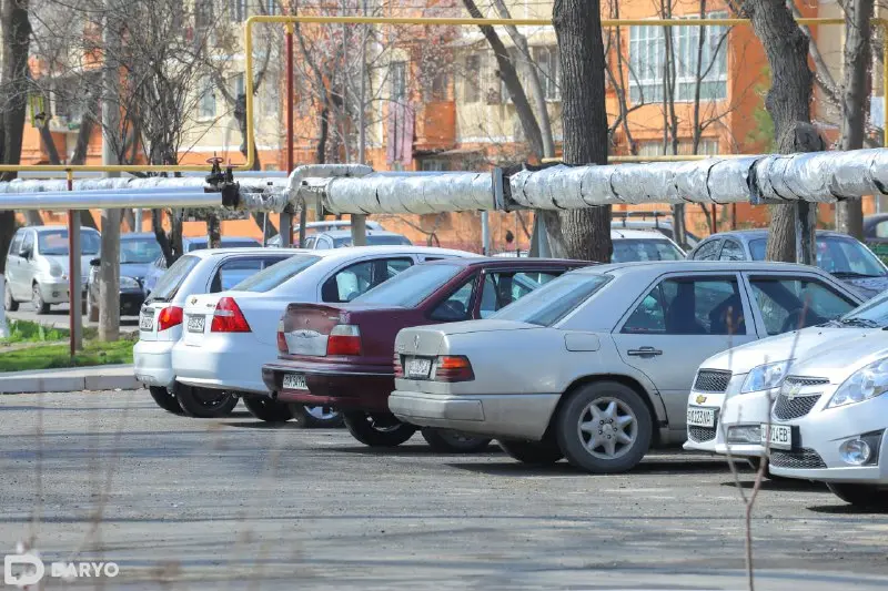 В Узбекистане продажи легковых автомобилей за год выросли почти на 20% 
