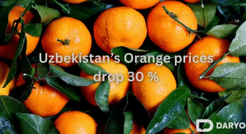 Uzbekistan citrus prices plummet: oranges down 30%, mandarins and lemons follow suit