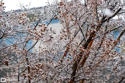 Yomg‘ir qorga aylanishi mumkin: O‘zbekistonga sovuq havo massalari kirib kelishi kutilmoqda
