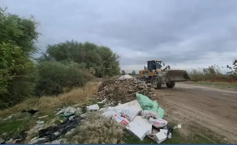 Toshkent viloyatida huquqbuzar o‘zi tashlagan chiqindini o‘zi tozaladi