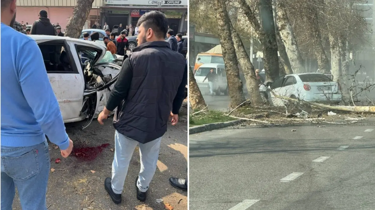 Toshkentda daraxtga urilgan Lacetti pachoqlanib ketdi (video) 
