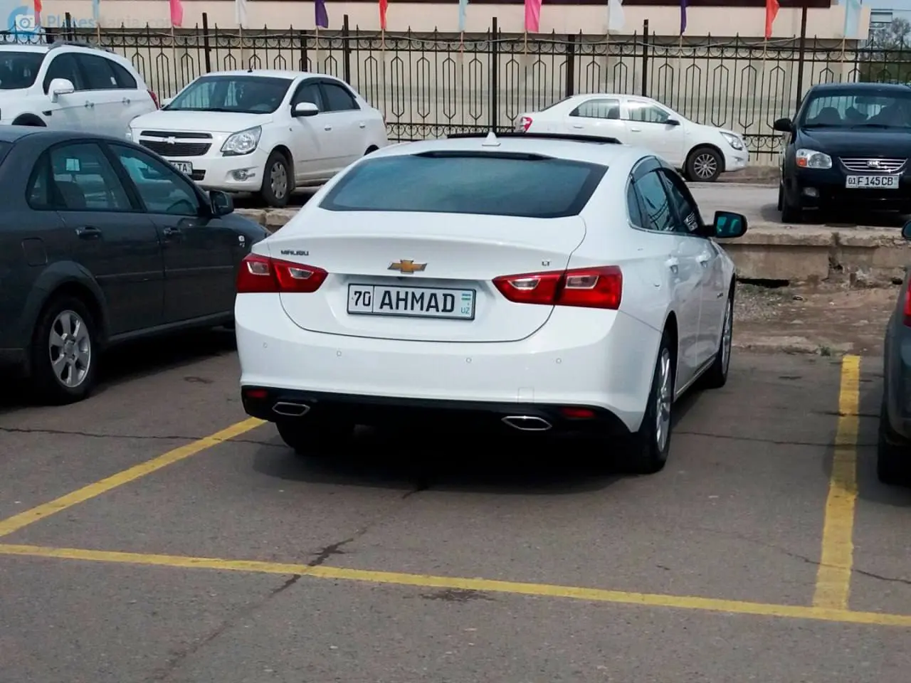 В Узбекистане разрешат установить имя в качестве автомобильного номера