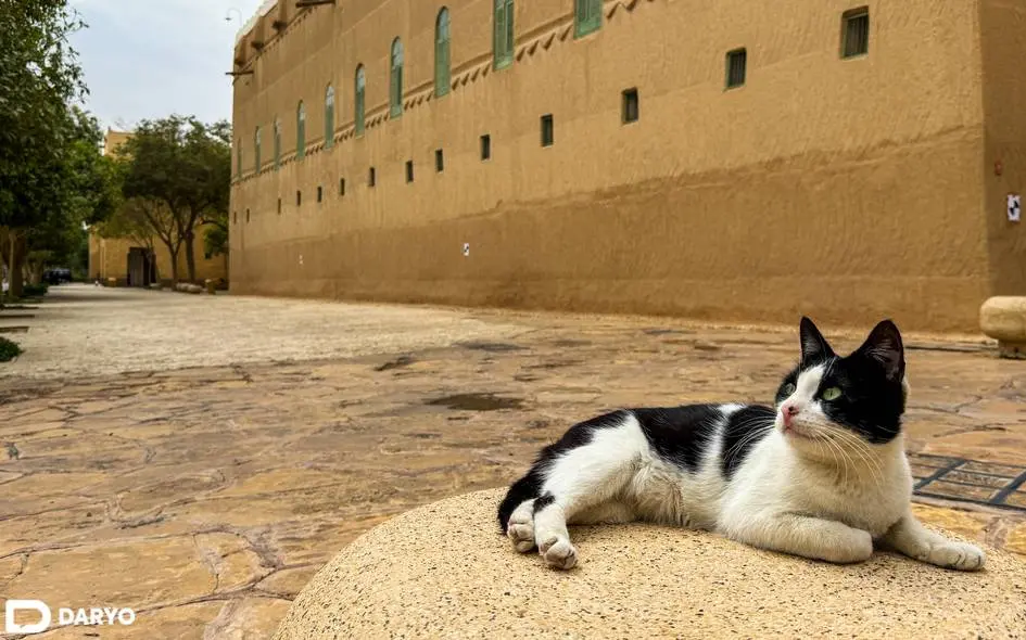 “Saudiya asoschisining loy qasri” — qirollik yuragi hisoblangan saroydan fotoreportaj