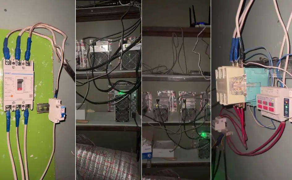 Samarqandda 2,2 mlrd so‘mlik elektrdan noqonuniy foydalangan mayning ferma aniqlandi
