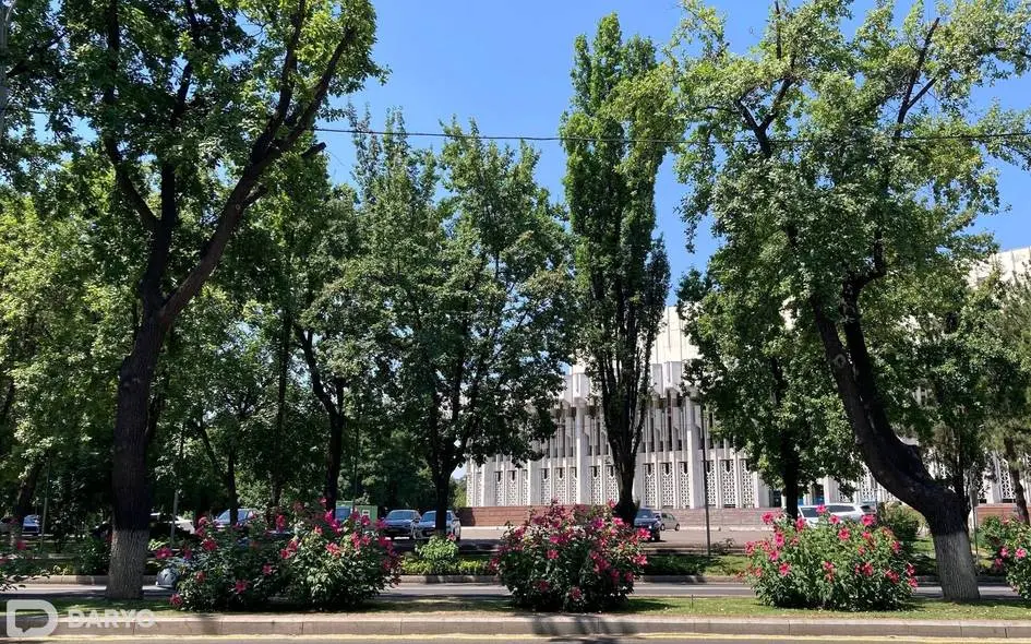 Сегодня в Узбекистане ожидается жара до 45 градусов