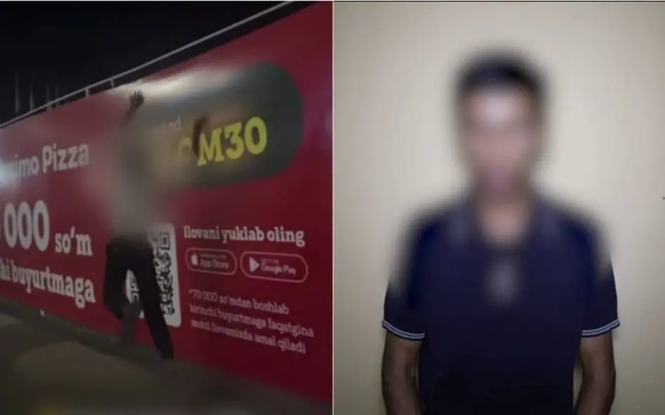 Andijonda mushukni devordan uloqtirgan yoshlar javobgarlikka tortildi