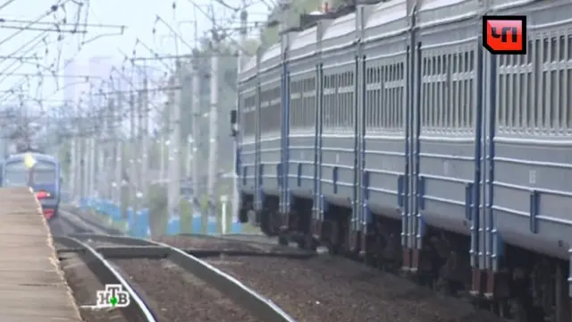 Москва вилоятида ўқувчи қиз темир йўлда селфи олишга уриниб ҳалок бўлди