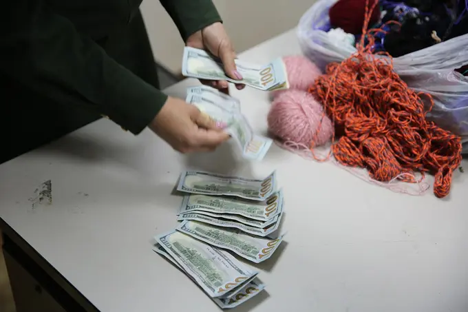Ўзбекистонга бир аёл томонидан 3000 доллар ва 25 миллион сўмлик моддий бойликлар ноқонуний олиб кирилишининг олди олинди