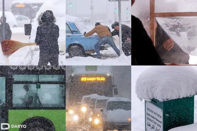 Toshkentda anomal sovuqni boshlab bergan qor — suratlarda