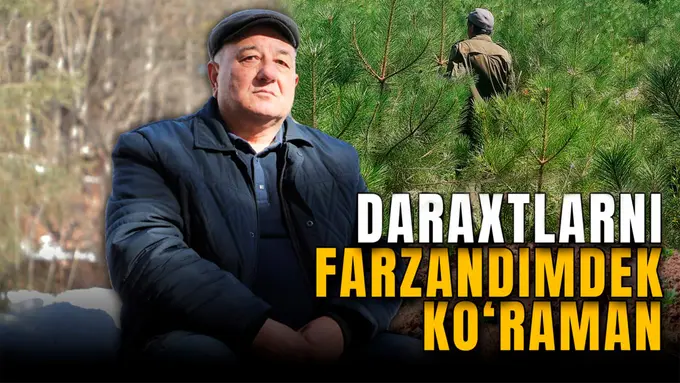 Эгасини топган ўрмон, тошлоқда унган кўчатлар, тупроқни асраётган дарахтлар — 40 йиллик ўрмончи Собир Носирматов билан суҳбат