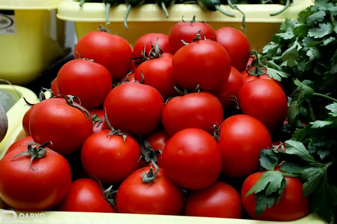 Tomato price in Uzbekistan skyrockets with no visible sign to abate