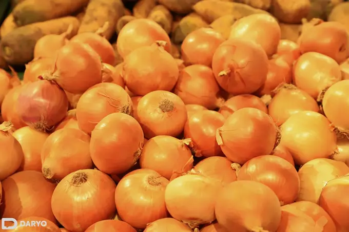 Kazakhstan cancels ban on onion export 