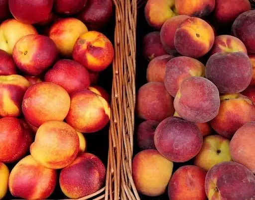 Peach and nectarine bonanza: Uzbekistan's 2023 export record in the making