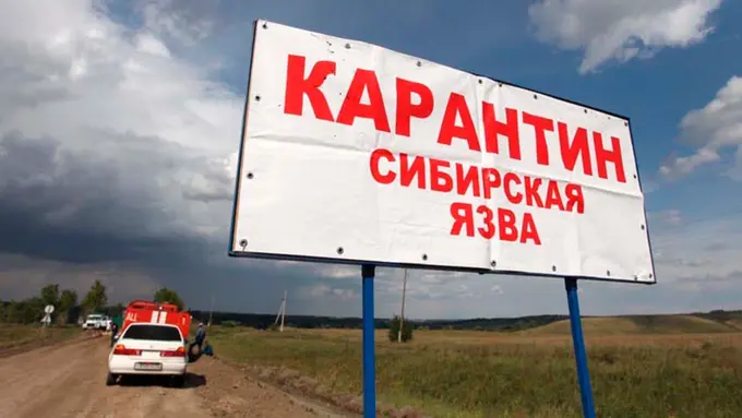 Siberian anthrax spreads in Kazakhstan