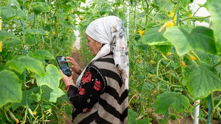 FAO's Digital Villages Initiative transforms farming in Uzbekistan's Fergana Valley 