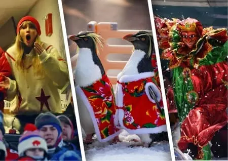 Куртка кийган пингвинлар, ўлганлар хотирасига дарахт экаётганлар, “Канзас Сити”га мухлислик қилаётган Тейлор Свифт — 22 январь суратлари