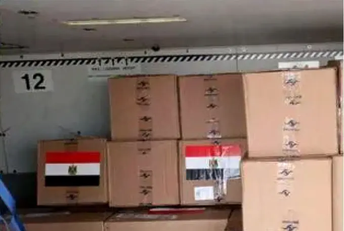 Egypt delivers one more batch of anti-hepatitis c drugs to Uzbekistan