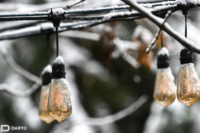 Uzgidromet reports January 2024 to be among warmest in history 