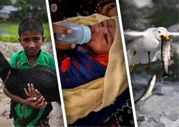 Bekor qilingan favqulodda holat, jaziramada qiynalayotgan Daryo Xon, Bangladeshda yuz bergan to‘fon — 27-may suratlari 