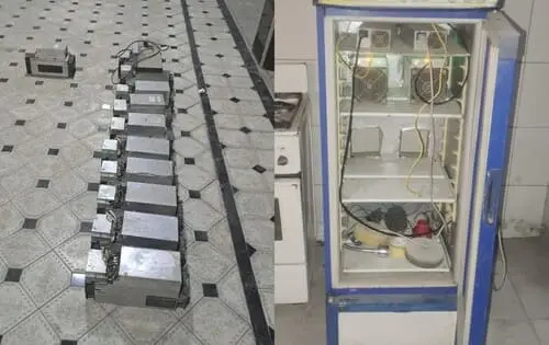 Toshkent va Andijon shaharlarida mayning ferma tashkil etgan xonadonlar aniqlandi