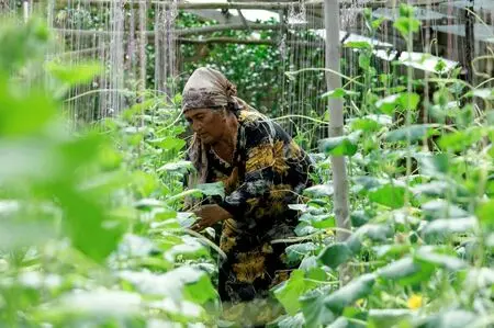 ADB approves $50mn grant for climate-responsive business environment in Tajikistan